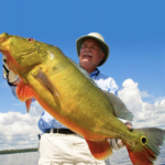 Fishing in Brazil Amazon Fishing Trips Peacock Bass Fishing Trips